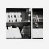Louise Lawler, This Way I Can't Fight