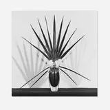 Robert Mapplethorpe, Orchid with Palmetto Leaf, 1982, gelatin silver print
