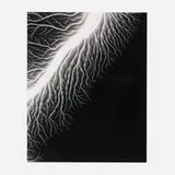 Hiroshi Sugimoto, Lightning Fields 128, 2009, gelatin silver print mounted to board
