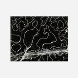 Brett Weston, Broken Glass (from the Fifteen Photographs portfolio)