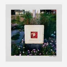 William Eggleston, 2 1/4 (Deluxe Edition), 1999, clothbound book, dye-transfer print