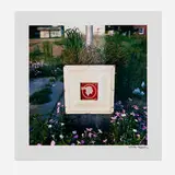 William Eggleston, 2 1/4 (Deluxe Edition)