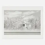 Henry Wessel, Jr., Tucson, Arizona