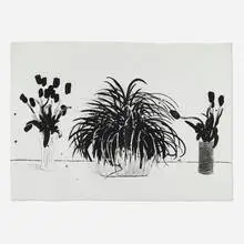 Two Vases of Cut Flowers and a Liriope Plant by David Hockney, 1979, lithograph on Japanese Toyoshi 80, sold Oct 2025