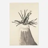 David Hockney, Potted Daffodils