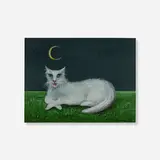 Gertrude Abercrombie, White Cat