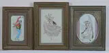 Anonymous, Dancing Beauties, Six ink and color on faux ivory in khatam frames. - Largest: 10 in. x 6 3/8 in