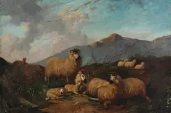 Irish School, Sheep at Rest, SHEEP AT REST, oil on canvas