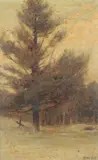 Robert Maione, Pine Tree, Oil on board