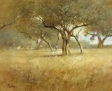 Robert Maione, Olive Trees, Oil on canvas