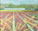 Rosa Johnson, Foster'S Nursery, Oil on board