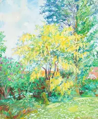 Charles Merrill Mount, Laburnum in Bloom, Sargent had a profound and lasting impact on Mount's classical Impressionist style, in which be painted in buttery, impasto brush strokes and high key pastel colors