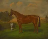 William Albert Clark, Untitled, oil on canvas 50.5 x 61cm