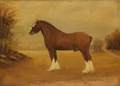 J Wick, Untitled, oil on board 30 x 40.5cm