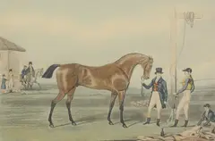 James Pollard, Untitled, James Pollard (1792-1867) 'Moses' aquatint in colours