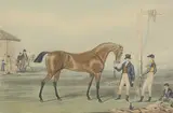 James Pollard, Untitled, James Pollard (1792-1867) 'Moses' aquatint in colours