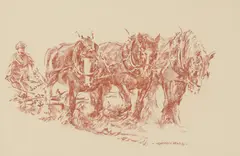 Norman Hoad, Untitled, sanguine pastel 31 x 45.5cm