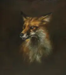 Victoria Mac Dermott, Untitled, oil on board 31 x 36cm