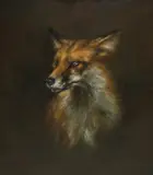 Victoria Mac Dermott, Untitled, oil on board 31 x 36cm