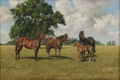 Stephen Park, Untitled, oil on canvas 51 x 76cm