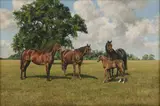 Stephen Park, Untitled, oil on canvas 51 x 76cm