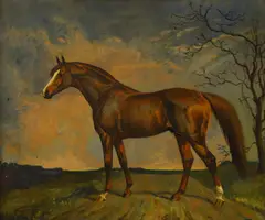 Juliet McLeod, Untitled, oil on canvas 54.5 x 65.5cm