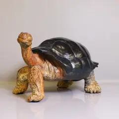 Jemma Pearson, Untitled, Jemma Pearson (b.1960) 'Giant Tortoise' bronze