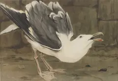 Untitled by Richard Barrett Talbot Kelly, watercolour 38 x 53cm Provenance: With the Wildlife Art Gallery., sold Jun 2023