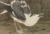 Richard Barrett Talbot Kelly, Untitled, watercolour 38 x 53cm Provenance: With the Wildlife Art Gallery.