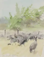Lars Jonsson, Untitled, pencil and watercolour 31 x 23.5cm Provenance: With the Wildlife Art Gallery.
