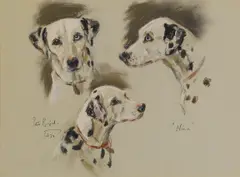 Peter Biegel, Untitled, pastel 31.5 x 43cm