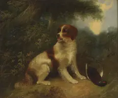 Edward Armfield, Untitled, Edward Armfield (1817-1896) Spaniel and pheasant oil on canvas 50.5 x 61cm