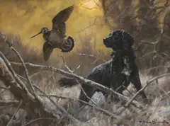 John Trickett, Untitled, oil on canvas 45.5 x 60.5cm