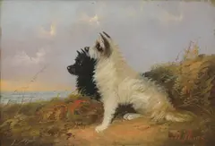 W Wallen, Untitled, oil on card 44 x 61cm
