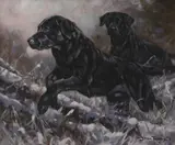 John Trickett, Untitled, oil on canvas 51 x 61cm