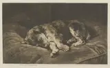 Herbert Dicksee, Untitled, a puppy sleeping original etching on vellum