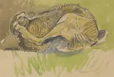 Andrew Haslen, Untitled, pencil and watercolour 36 x 52.5cm Provenance: With the Wildlife Art Gallery.
