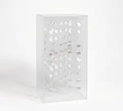 Klaus Staudt, "Duett", 2008, Polystyrol auf Plexiglasscheiben, in Plexiglaskastenrahmen
