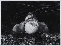 Ohne Titel by Dieter Appelt, 1979, Gelatinesilberabzug, sold Apr 2021