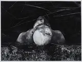 Dieter Appelt, Ohne Titel, 1979, Gelatinesilberabzug