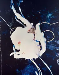 Janaina Tschäpe, Volva Volva, 2004, Cibachrome / Alu-Dibond