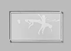 Anthony Goicolea, White Out, 2002, Blei- und Farbstift auf Mylar (67,5 x 121cm), im Plexiglaskasten