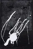 Sigmar Polke, Ohne Titel, 1989, Farbserigrafie auf schwarzem Velourpapier