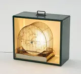Christoph Rihs, Crowling Star, 1989, Plexiglas, geätzt, Mausefalle und Holzkasten mit Beleuchtung