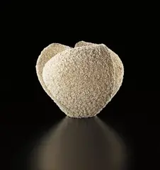 ‘Tane’ (Seed) by Makiko Hattori, circa 2013, Hand-built unglazed porcelain, sold Sep 2014