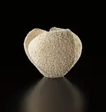 Makiko Hattori, ‘Tane’ (Seed), circa 2013, Hand-built unglazed porcelain