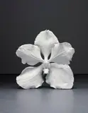 Marc Quinn, Careless Desire, 2010, painted bronze
