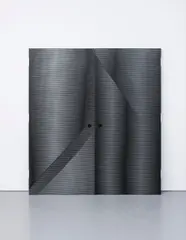 Ned Vena, Untitled, 2012, adhesive vinyl, steel door (in two parts)