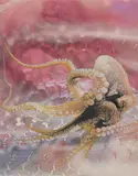 Jim Shaw, Untitled (Octopus), 2009, ink and gouache on printedpaper