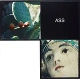 Ass: Maquette for the Elbow Series (A2) by John Baldessari, 1999, colour coupler print with printed text in artist's frame, offered Feb 2013
